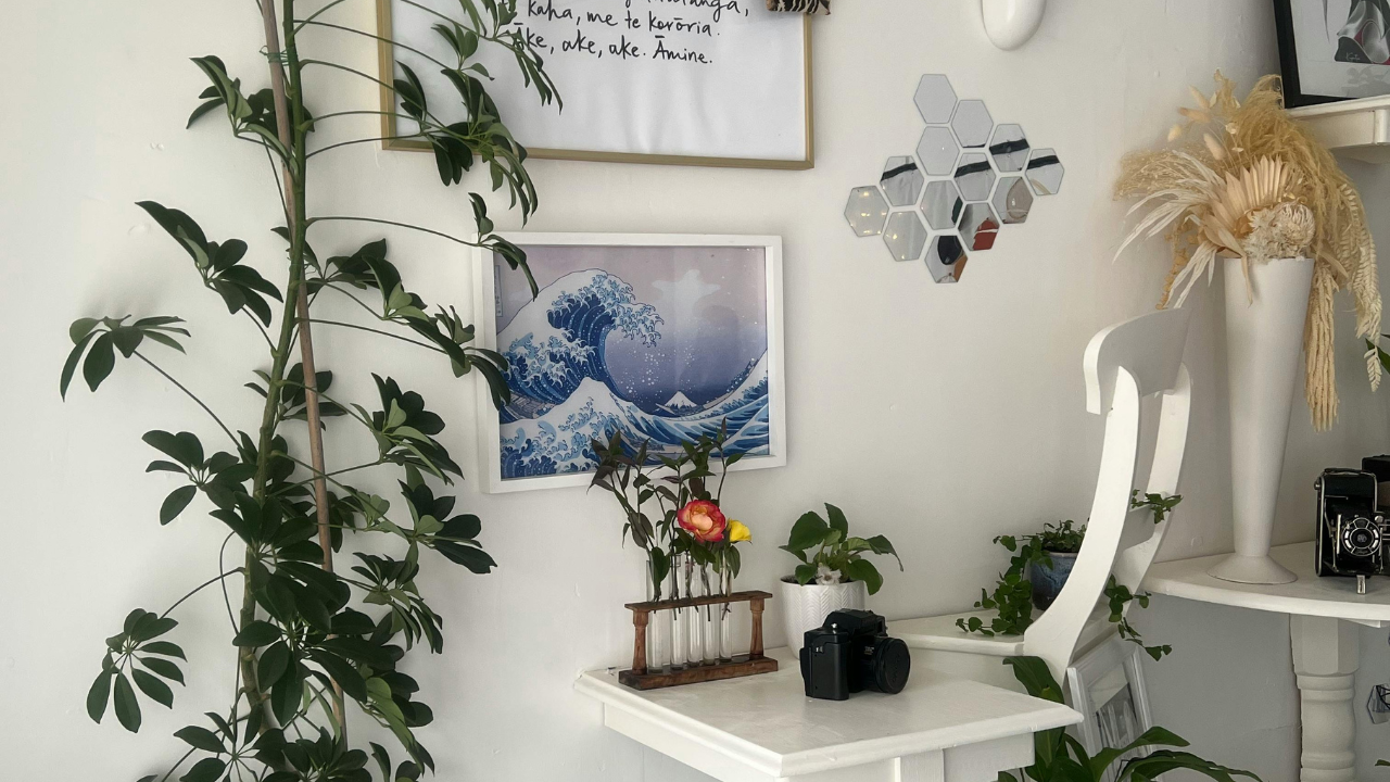 how-much-does-printing-flyers-cost-in-new-jersey